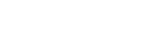 Medviz Systems